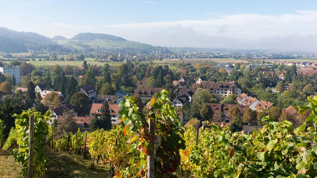 Ferienwohnung Weiherweg