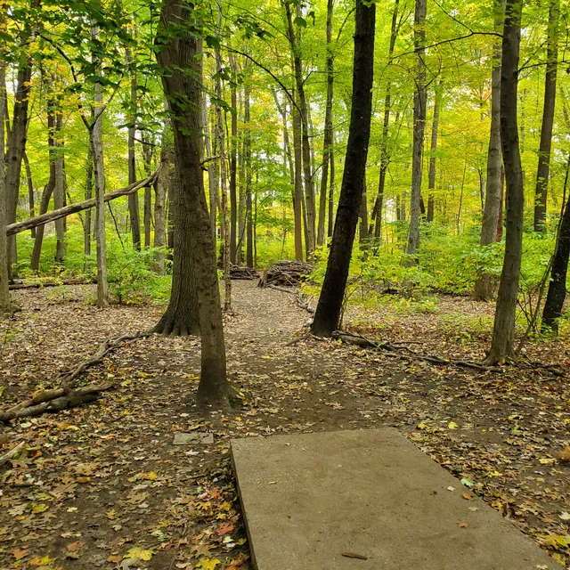 Parmelee Park Disc Golf Course