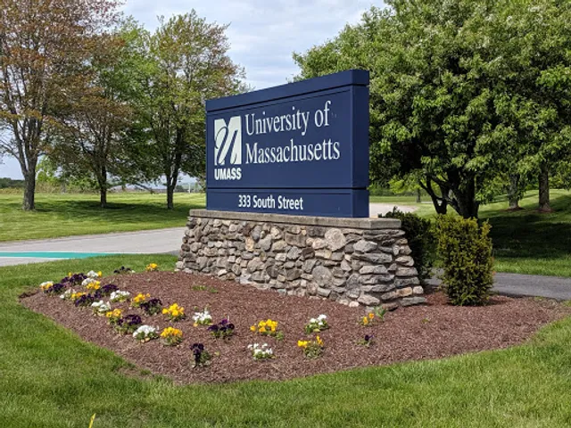 University of Massachusetts