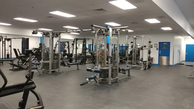 Falcon Gym