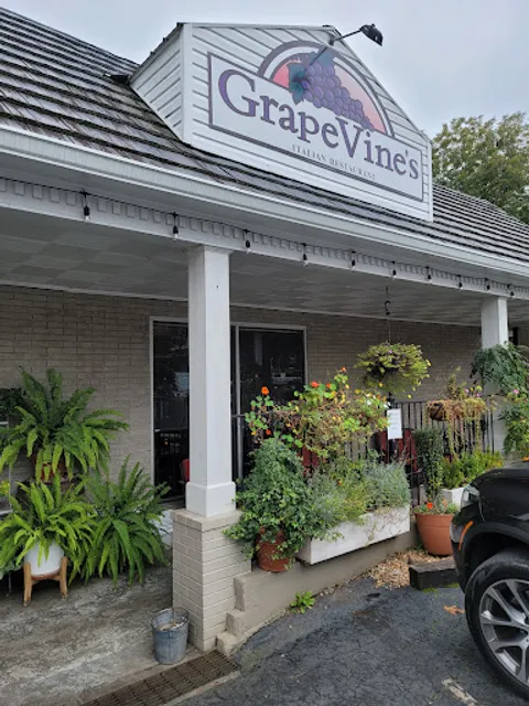GrapeVine's Casual Italian Dining