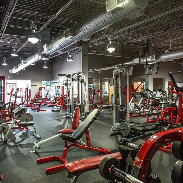 Texas Muscle & Fitness LLC