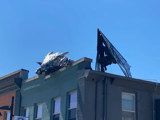 Erasmus the Rooftop Dragon