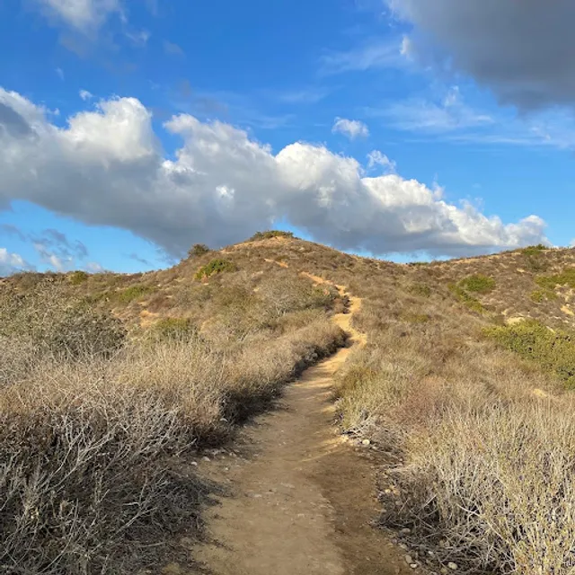 Laguna Coast Wilderness Park