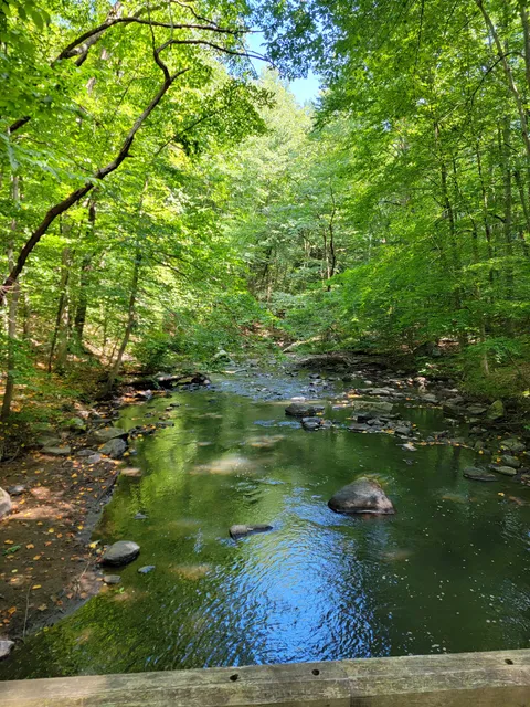 Black River Park/Kay Env. C