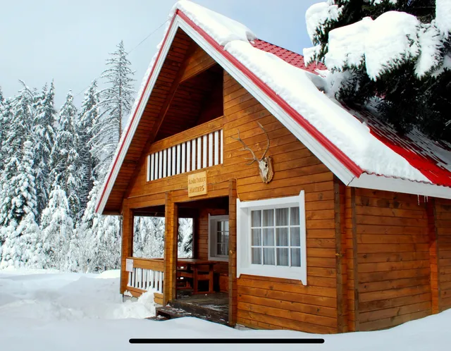 Chalets with saunas in central Borovets