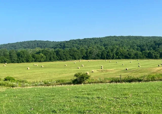 Riverside Valley Farm