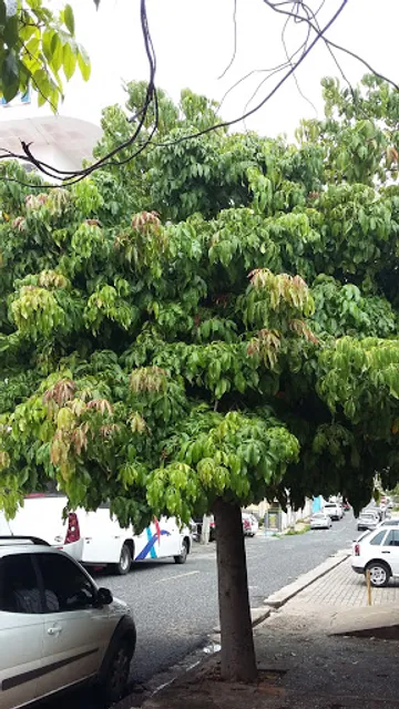 Restaurante & Pousada Lisboense