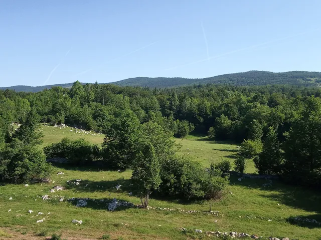 Guest House Tomaić Runolist