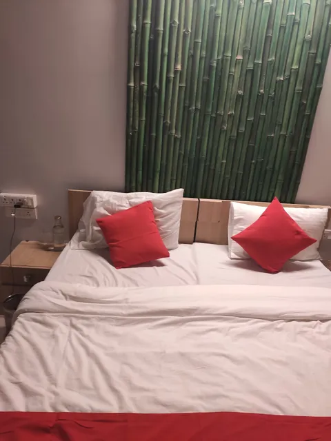 Flagship 65733 Ssr Vasant Vihar Colony