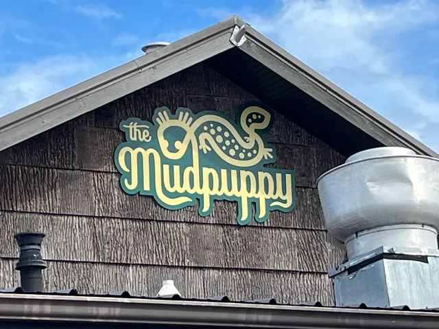 The Mudpuppy