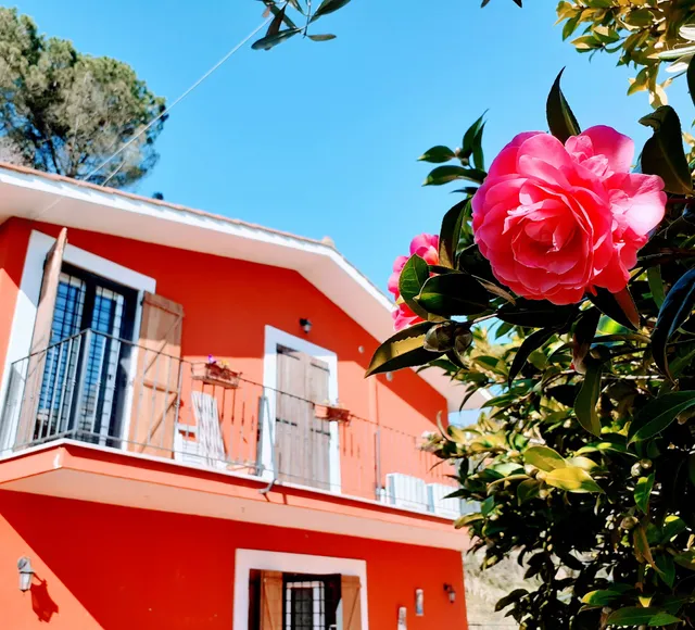 Il giardino delle camelie - b&b