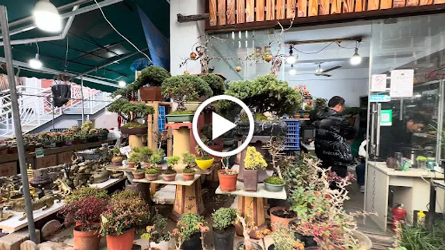 Shanghai Lanling Flowers and Birds Market