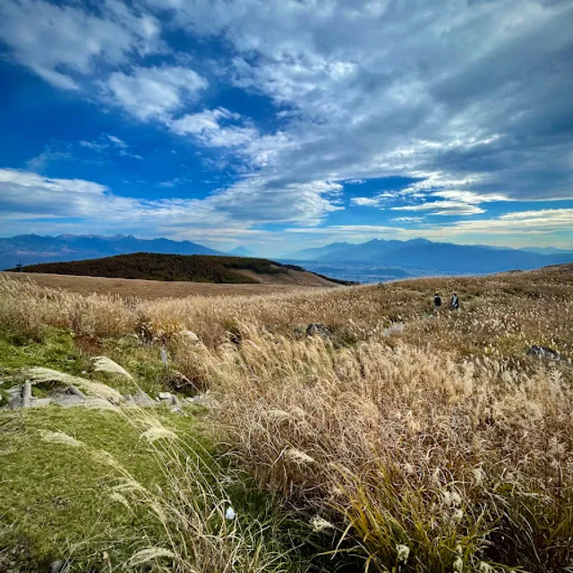ビーナスライン