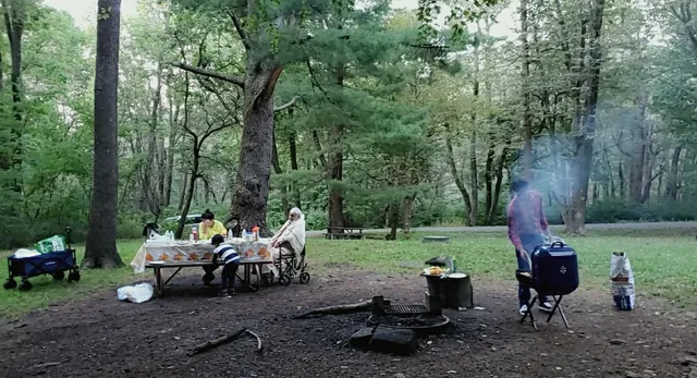 Elkwallow Picnic Area