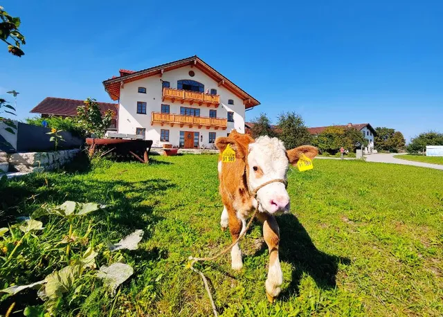 Schöberlhof - Urlaub auf dem Bauernhof