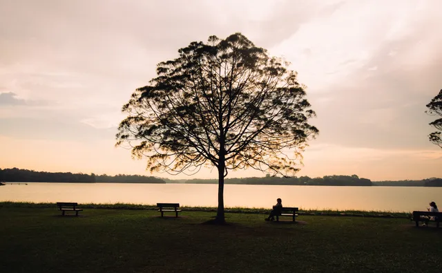 Upper Seletar Reservoir Park Car Park B