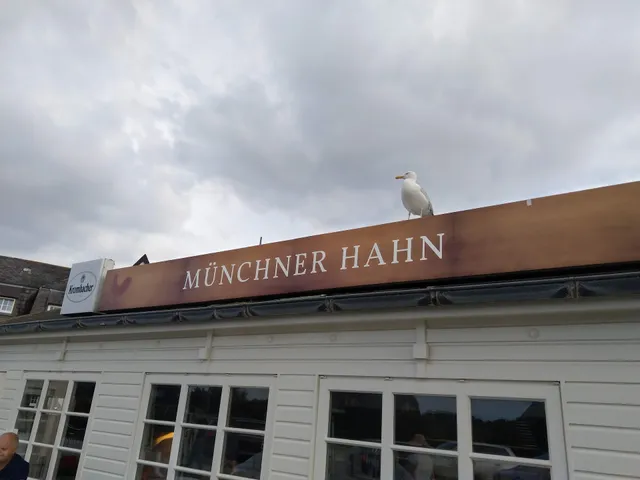 Münchner Hahn Wenningstedt