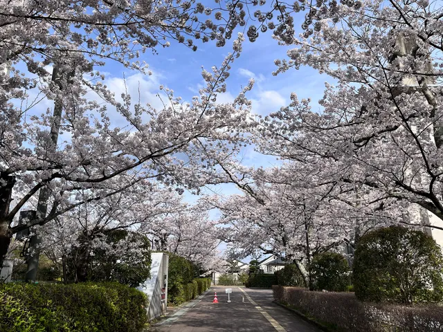 Ritsumeikan University