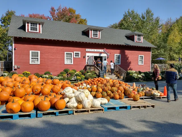 Boston Hill Farm