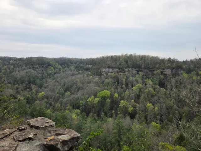 Red River Gorge