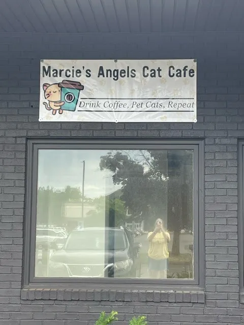 Marcie's Angels Cat Cafe
