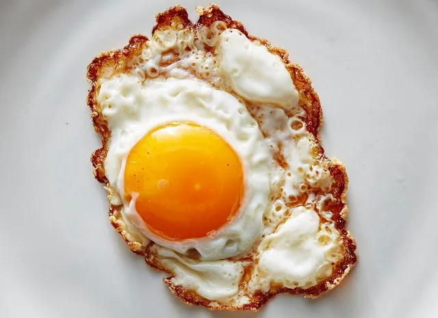 Dream Backpackers & Travel