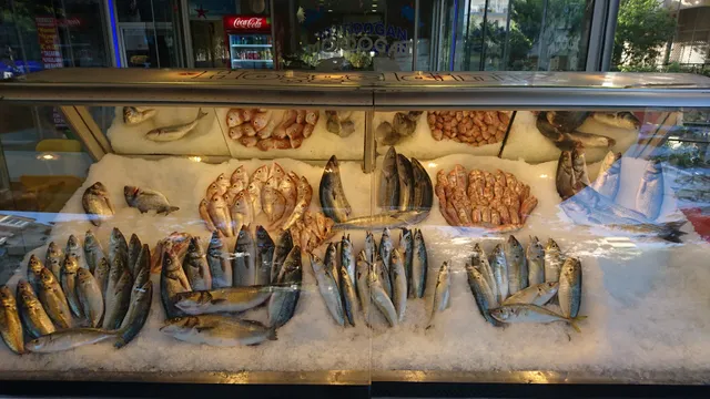 Mordoğan Balık Pişiricisi