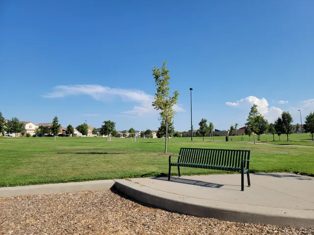 Park Playground