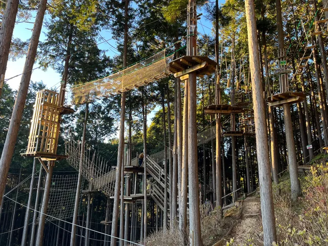 Forest Adventure Mishima Skywalk
