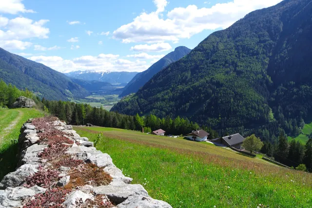 Appartment Rieplechn des Feichter Sebastian