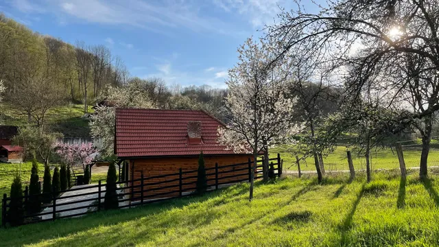 Casa Căutătorului de Aur