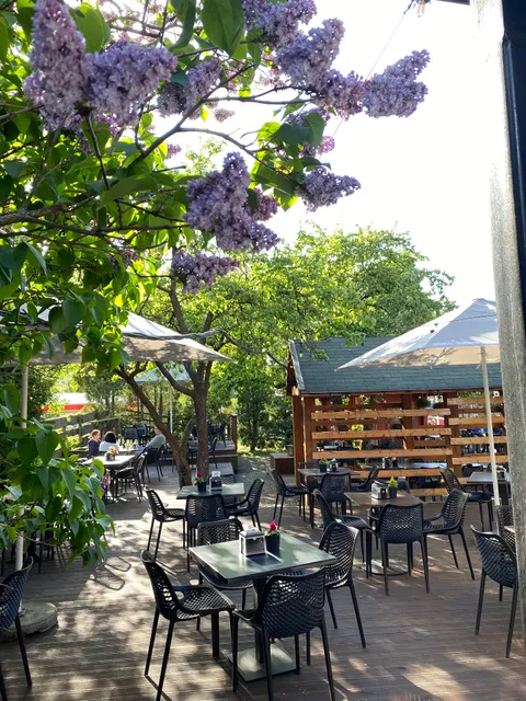 Hospitāļu Ezītis miglā