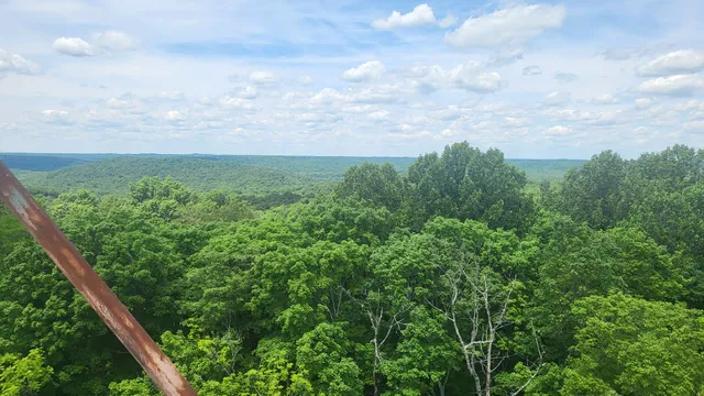 Wyandotte Tower/Firetower 1942