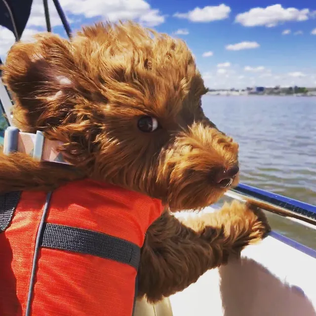 Well Done Charlie Dog Training