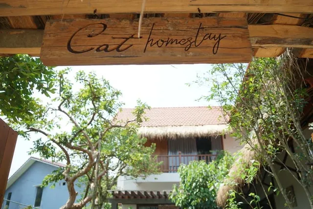 Cat Homestay