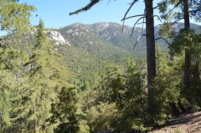 Ernie Maxwell Scenic Trail 3E07