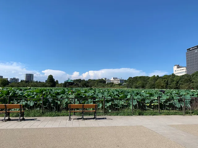 Ueno Park Outdoor Stage