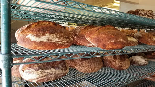 The Midwife and The Baker