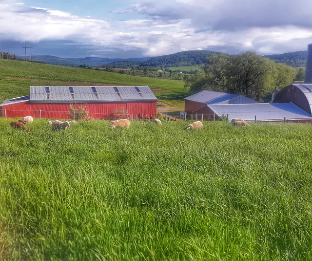 Empty Pockets Ranch LLC