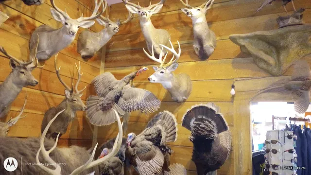 C W W Feed Store & More