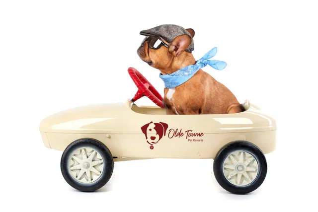 Olde Towne Pet Resort