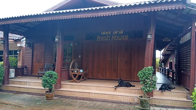 Fresh House