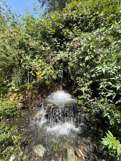 Natural Hot Springs Bath