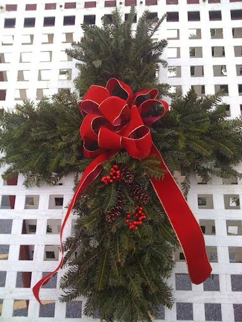 Cook's Christmas Trees