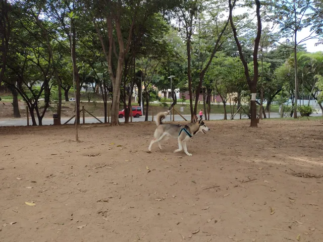 Cachorródromo Miguel Cornejo