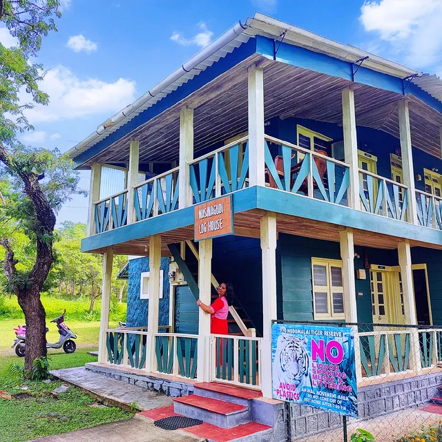 Masinagudi Log House