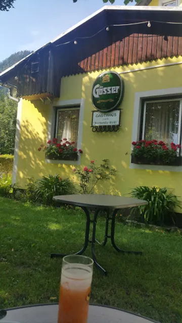 Gasthaus Zum Harmonika Waldi