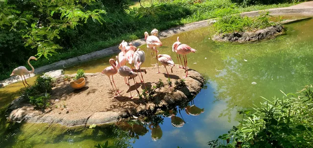 Cincinnati Zoo