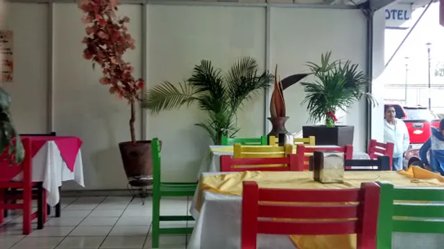 La Zanahoria Del Sol